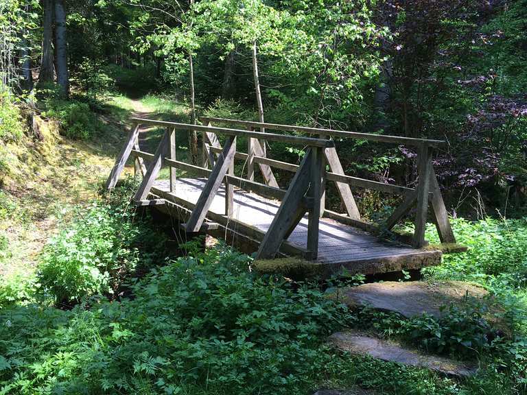 singletrail bad liebenzell