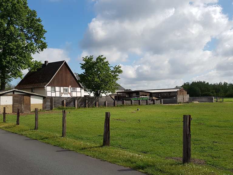 Zum 