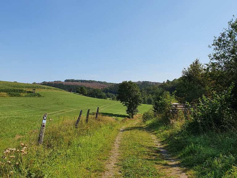 Genkeltalsperre Blick auf Talsperre Runde von Lantenbach Wanderung