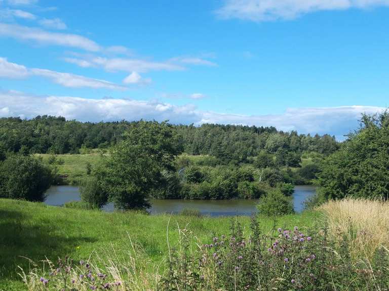 Thornton Reservoir — Leicester hike Komoot