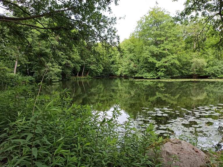 Rodenbeker Teich Hamburg, Germany Cycling Tips & Photos Komoot