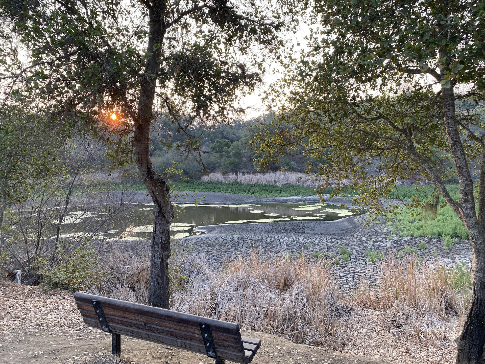 Wooden bench overlooking a partially dry lakebed with sunset light.