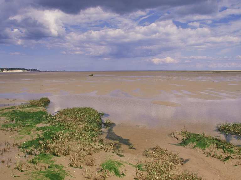 Sandwich and Pegwell Bay Nature Reserve: Wanderungen und Rundwege | komoot