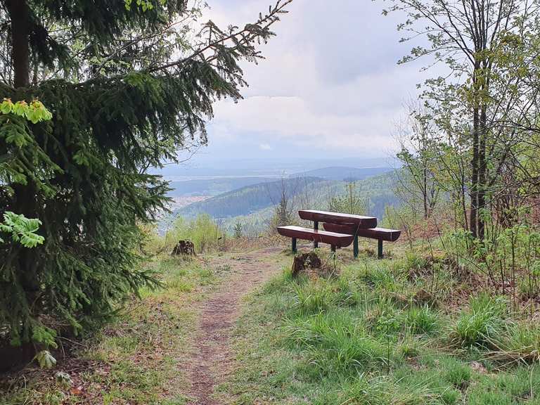 Ausblick Hohe Schlaufe - Ilmenau, Ilm-Kreis | Wandertipps ...