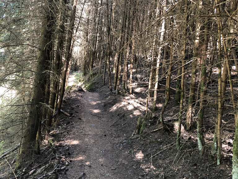 Hermannsruh Aussicht Geiler Trail Loop from Pirmasens Hbf mountain