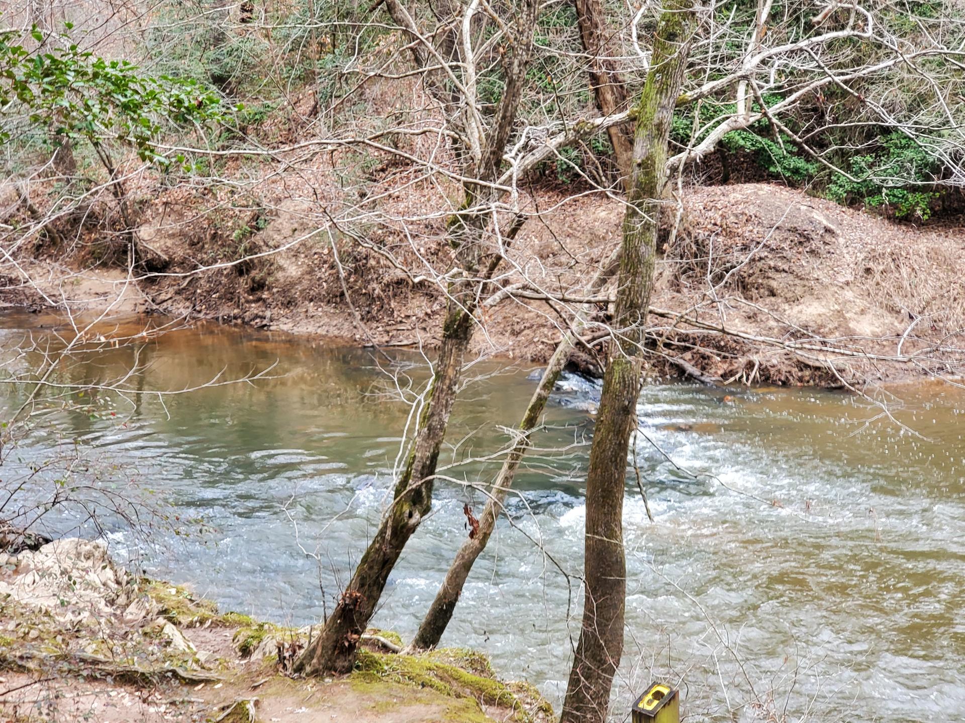 A river flows past bare trees and earthy banks under natural light.