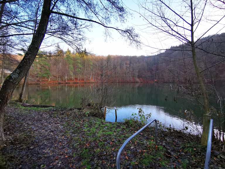 Schönsee Routes for Walking and Hiking | Komoot