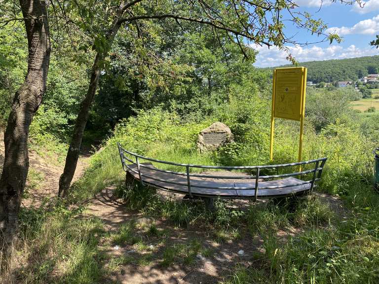 Salzwiesen Wisselsheim Routes for Walking and Hiking Komoot