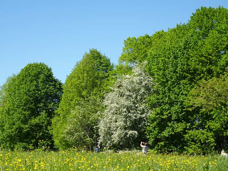 Obstbaumwiese Wanderungen und Rundwege komoot