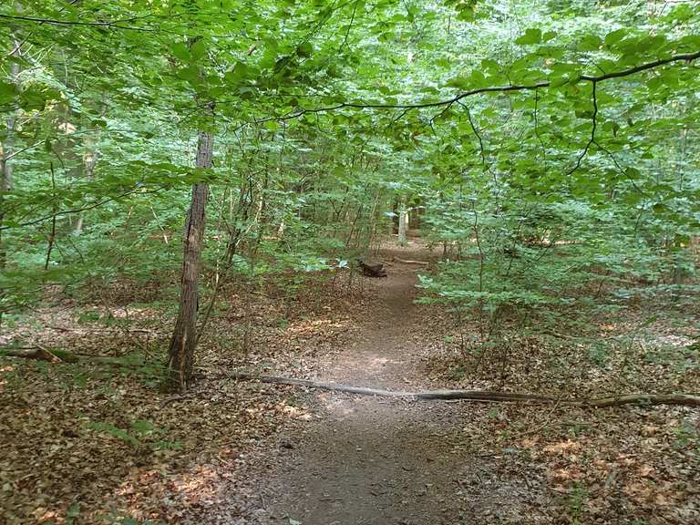 Volksdorfer Wald Wanderungen und Rundwege komoot