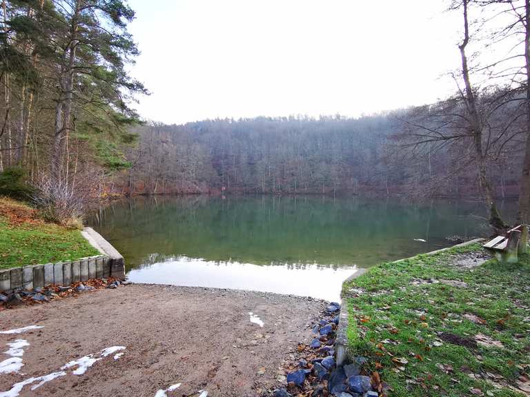 Schönsee Routes for Walking and Hiking | Komoot