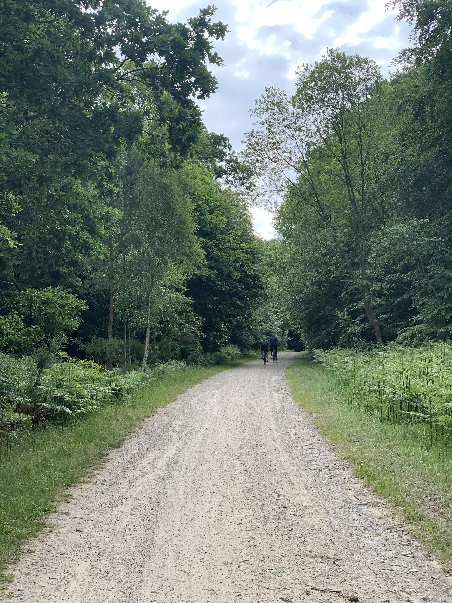 The Rügen circular route – Riding around Germany's largest island ...