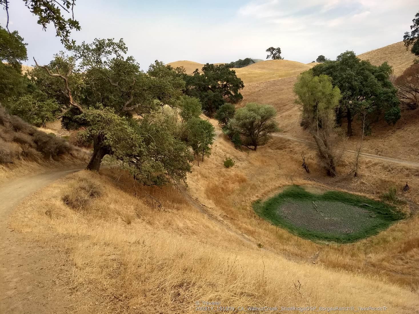 Dirt path winding through golden hills with a small green pond.