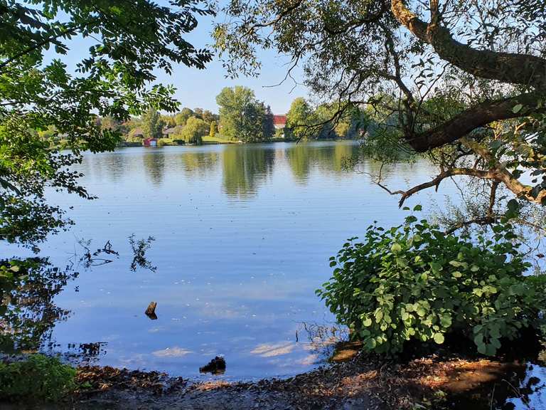 Großensee Badestelle MountainbikeTouren und Trails komoot