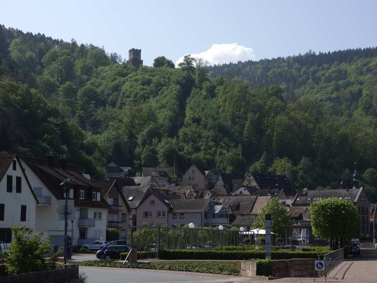 Freudenberg Mainradweg Runde von Miltenberg