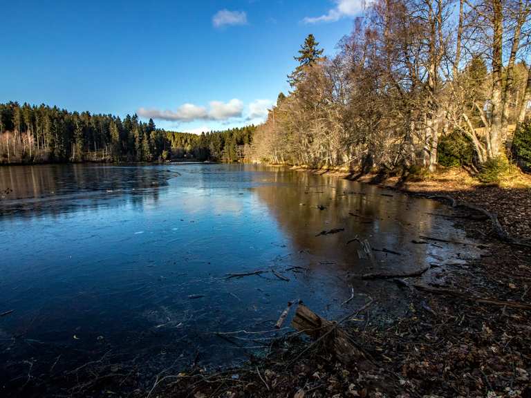 Schlüchtsee - Grafenhausen, Waldshut | Hiking Tips & Photos | Komoot