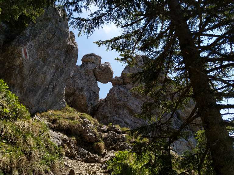 Fockenstein-Gipfel – Wander- & Radrouten | Komoot