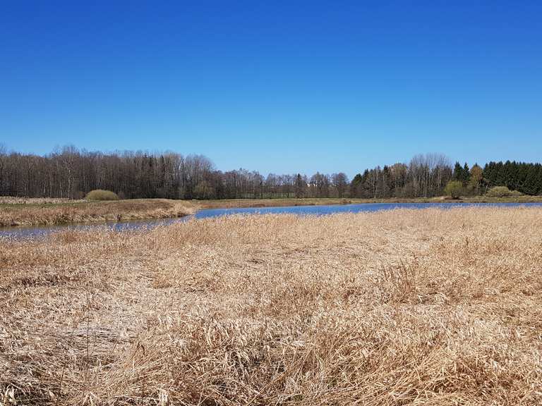 Großer Teich LimbachOberfrohna, Zwickau Wandertipps & Fotos Komoot