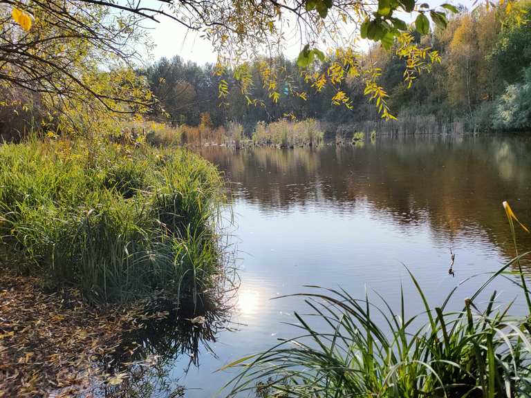 Auen im Erpetal Wanderungen und Rundwege komoot