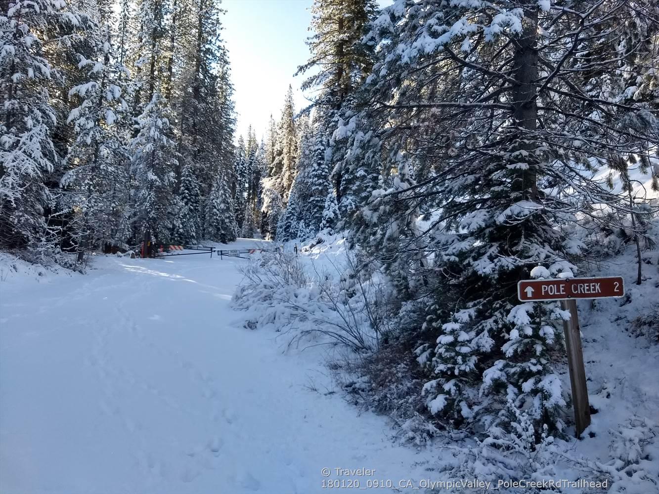 Snow-covered path through a dense forest with a trail sign. Bright day.