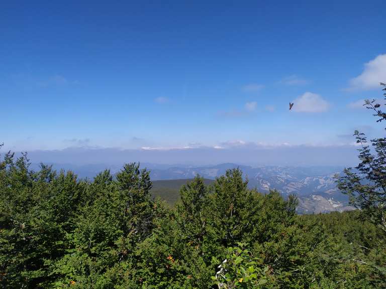 Monte Falco percorsi escursionistici e trekking Komoot