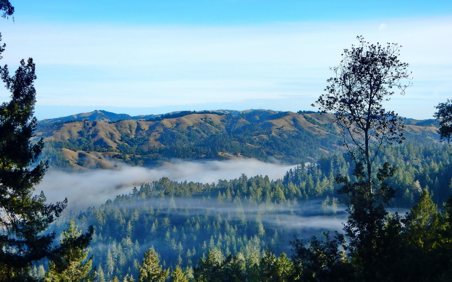 Panoramic view of misty forest valleys and distant green mountains under blue sky.