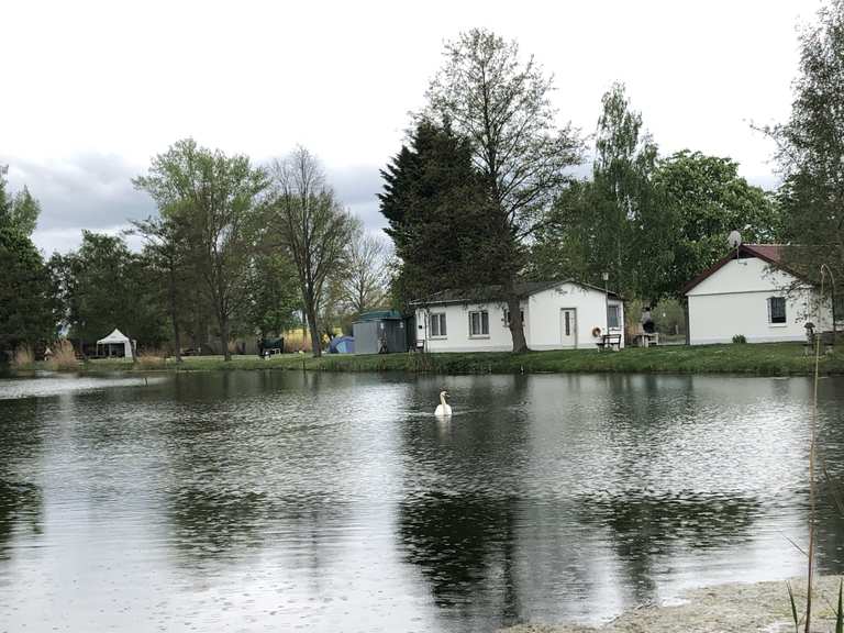Herbslebener Teiche Wanderungen und Rundwege komoot