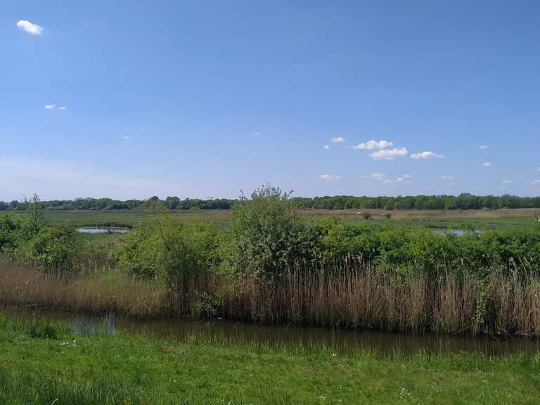 Park Links der Weser - Bremen, Germany | Cycling Tips & Photos | Komoot