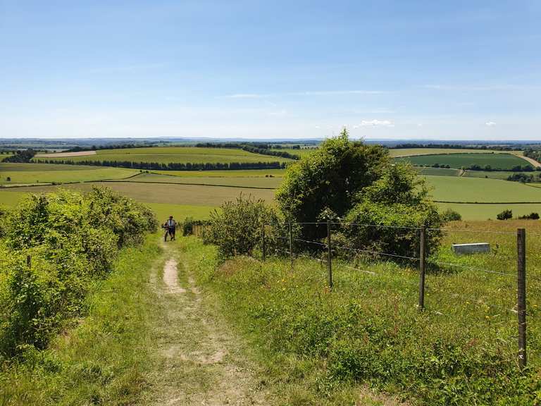 Old Winchester Hill & Forest of Bere loop from Wickham — South Downs