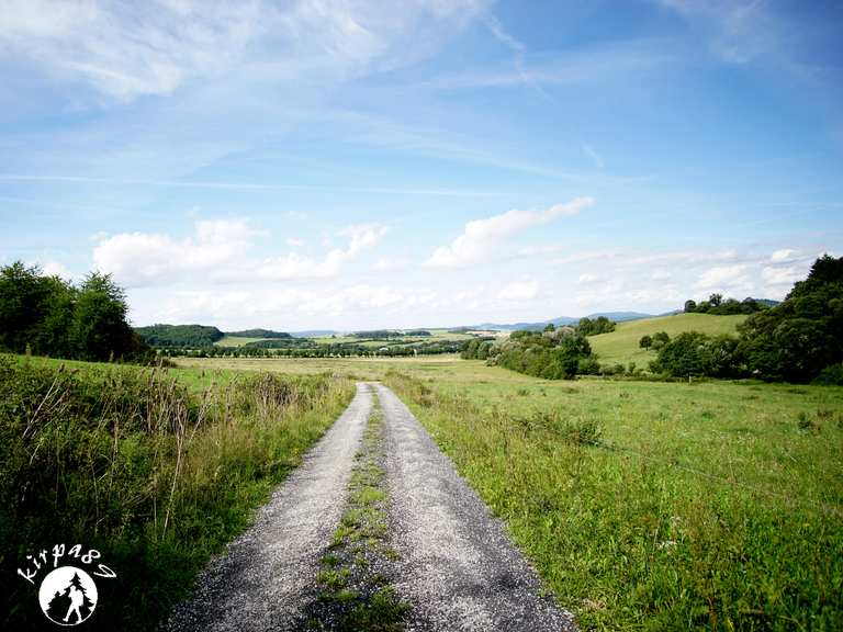 kolonnenweg-entlang-der-ehemaligen-grenze-geisa-wartburgkreis-tips