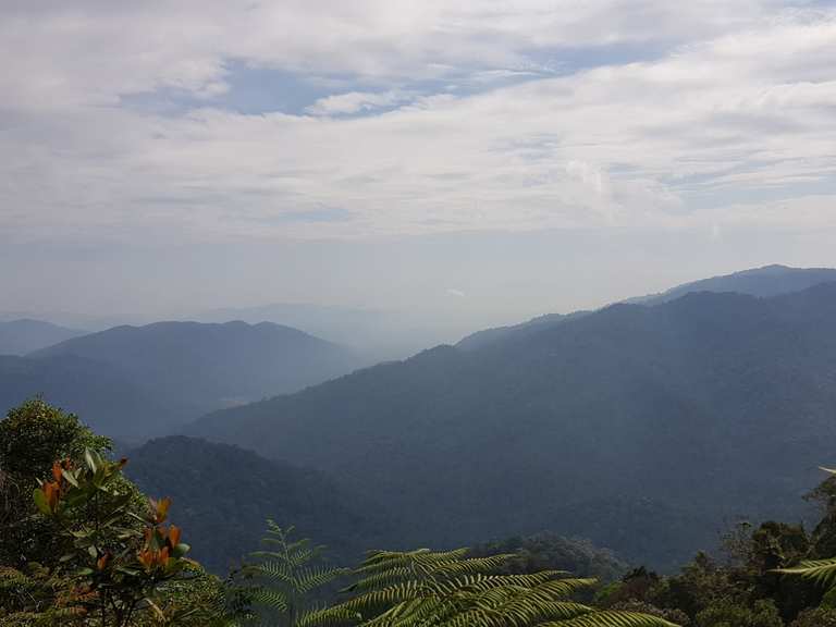 Gunung Angsi Peak: Wanderungen und Rundwege | komoot