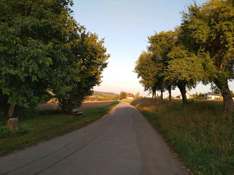 darf ich auf einer kreisstraße mit dem fahrrad fahren