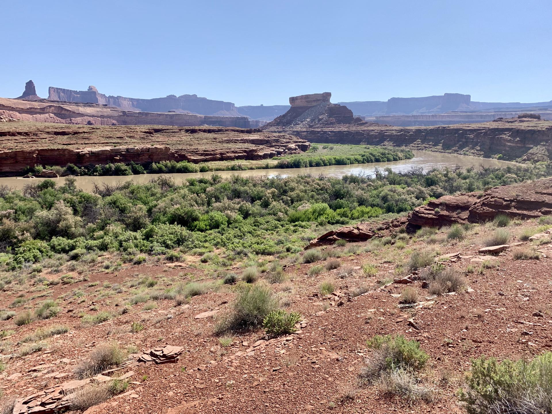 Sunny desert landscape with a winding river, green vegetation, and distant mesas.