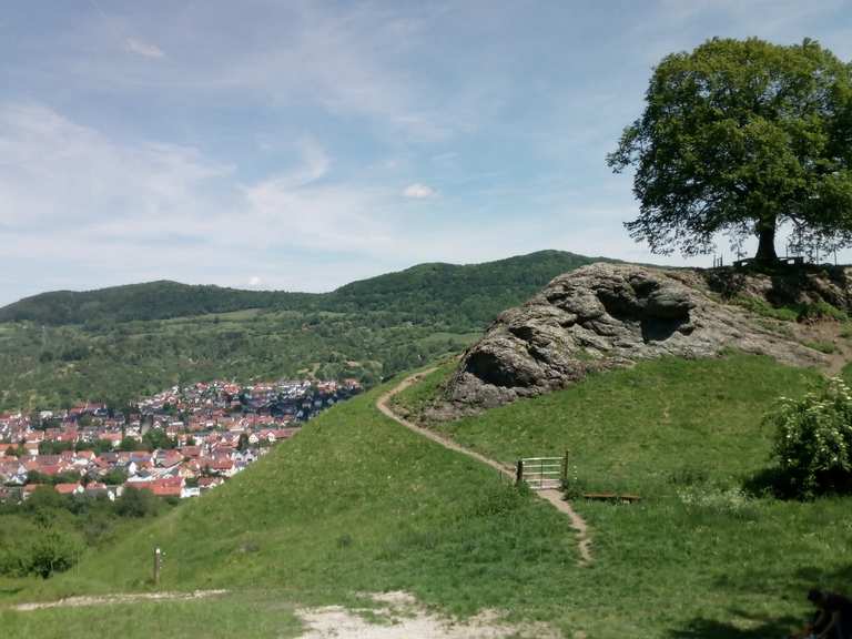Calverbühl Wanderungen und Rundwege komoot