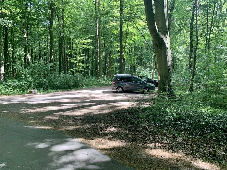 Kleiner Waldparkplatz am Kranichholz Radtouren und Radwege komoot