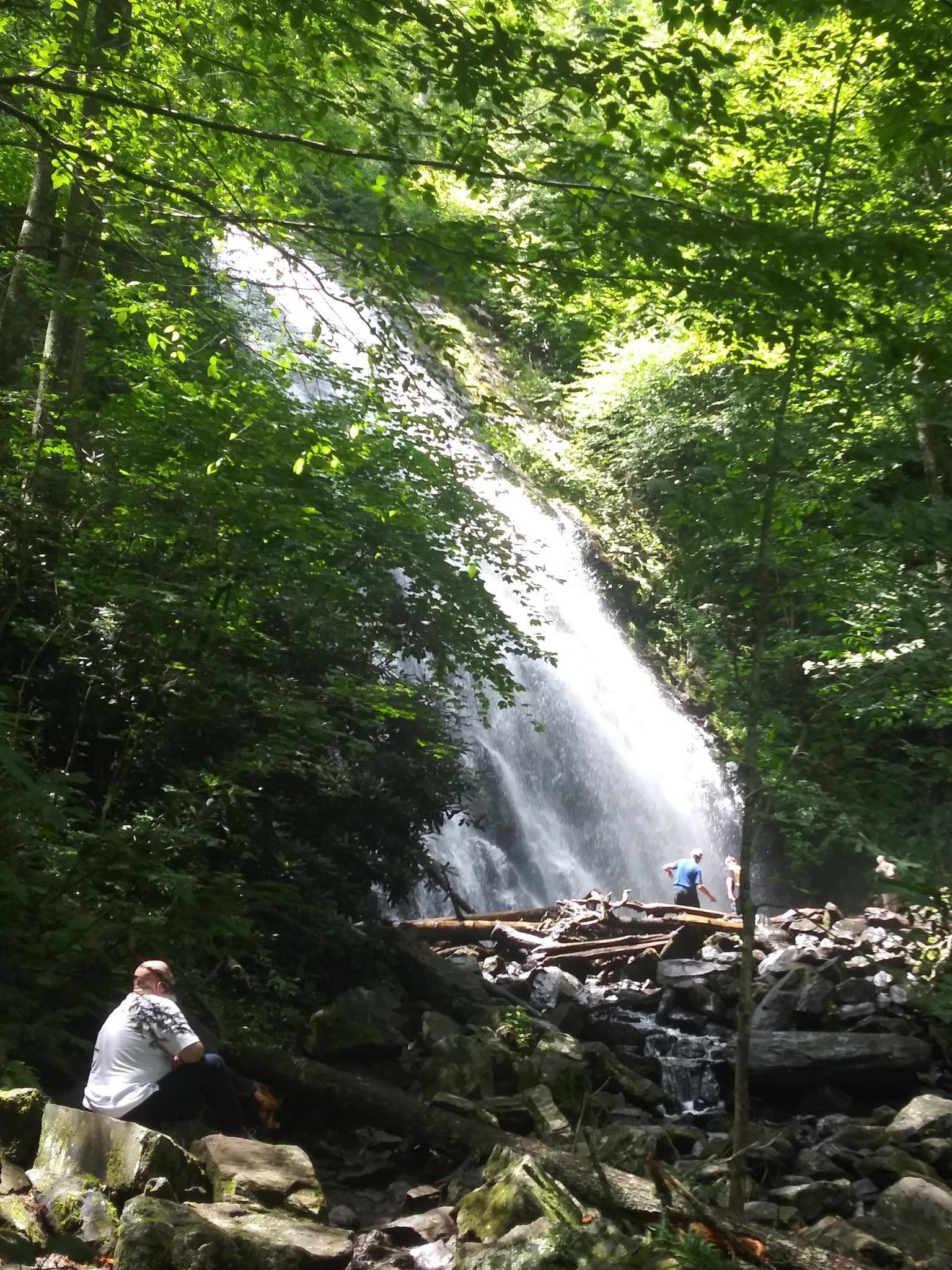 Two people near a tall, sunlit waterfall in a dense green forest.
