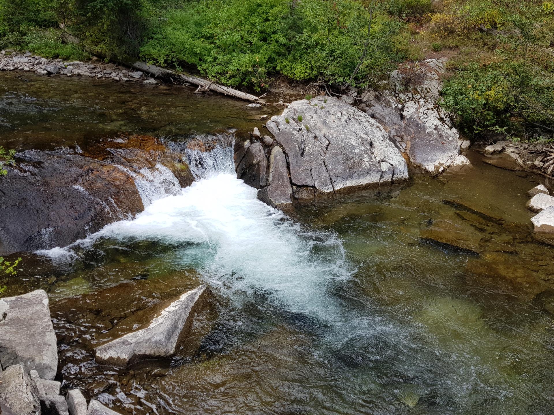 A clear river flows over rocks, creating a small, foamy waterfall.