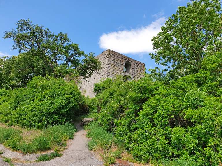 Burgruine Helfenberg Wanderungen und Rundwege komoot
