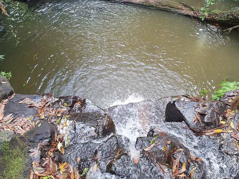 Chutes de Mapleton – Randonnées & Comment s'y rendre | Komoot