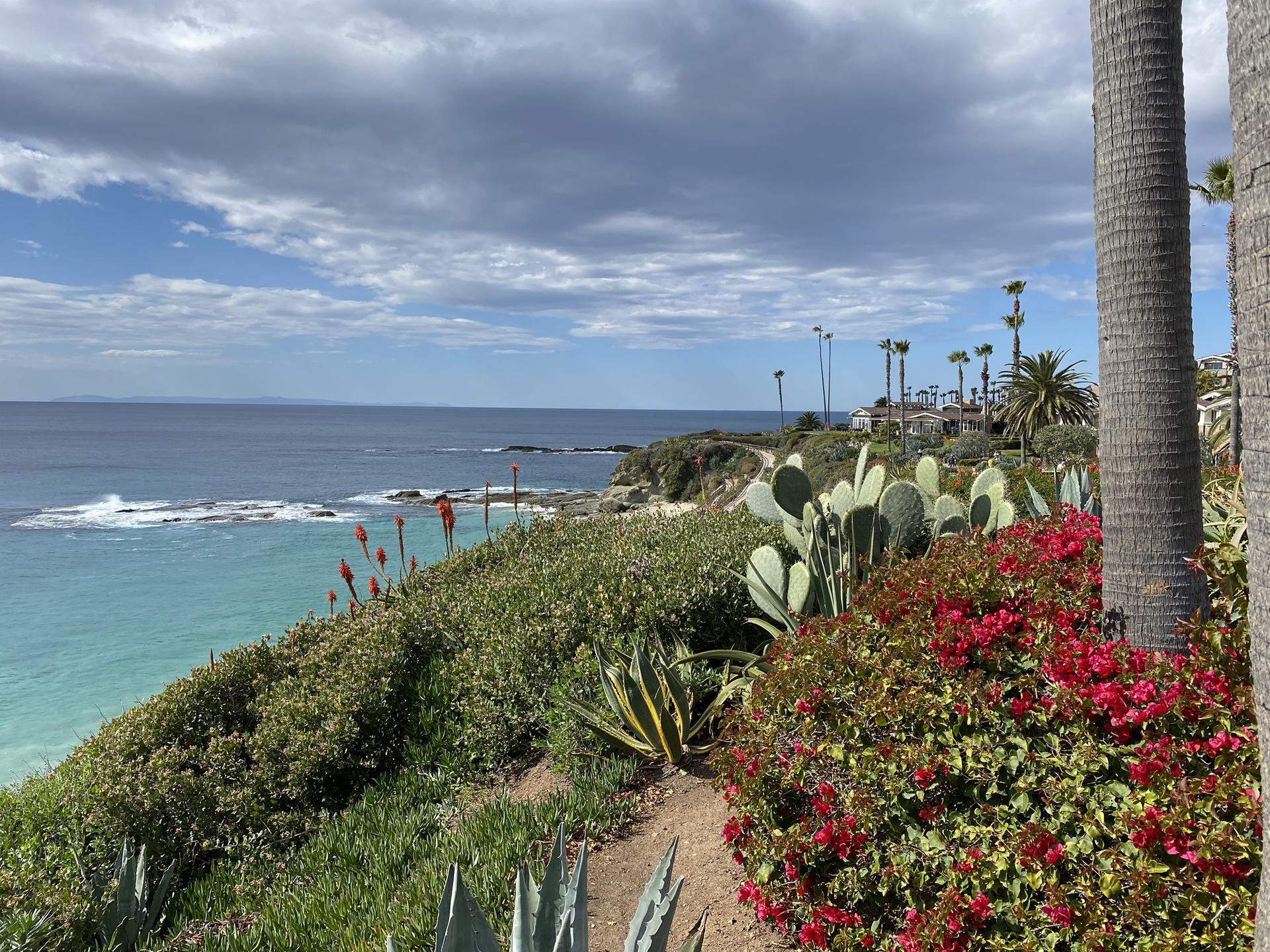 Lush coastal cliff with vibrant plants overlooking a turquoise ocean under cloudy skies.