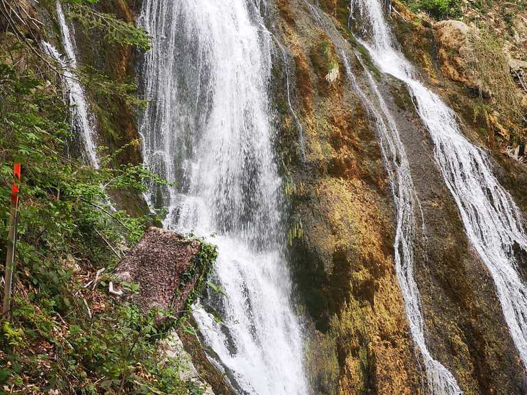 Montjola-Weiher Routes for Walking and Hiking | Komoot