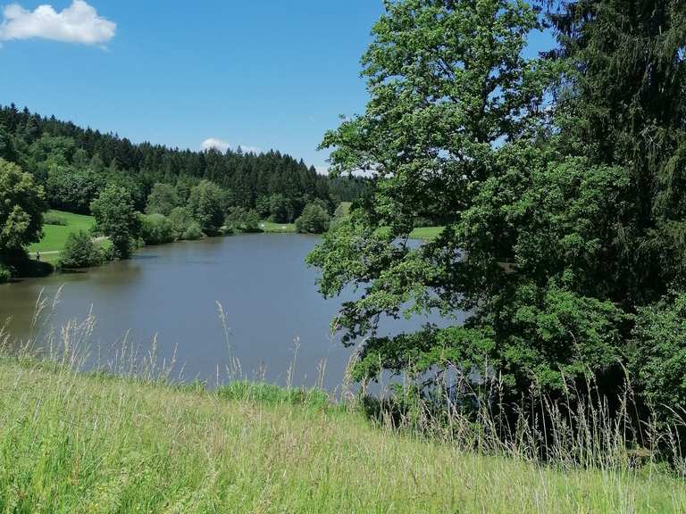 Reichenbachsee Radtouren und Radwege komoot