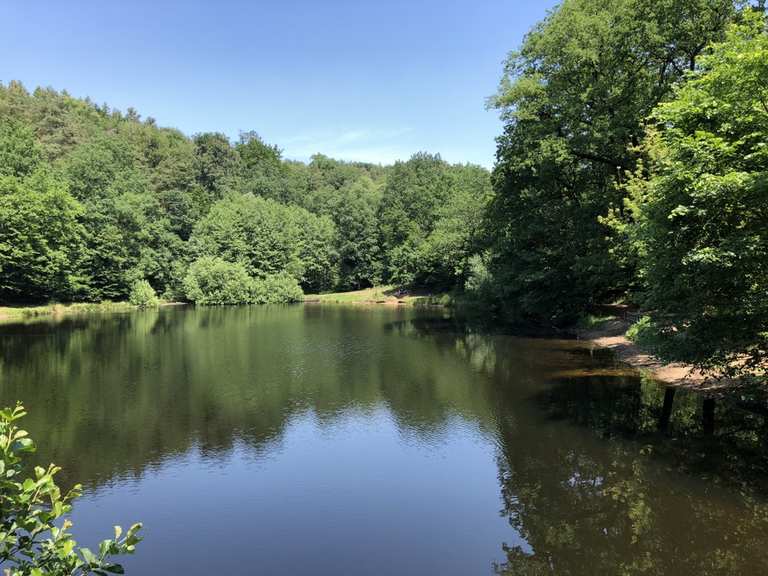 Spitzgrundteich Seerosenteich Runde von Coswig (b Dresden