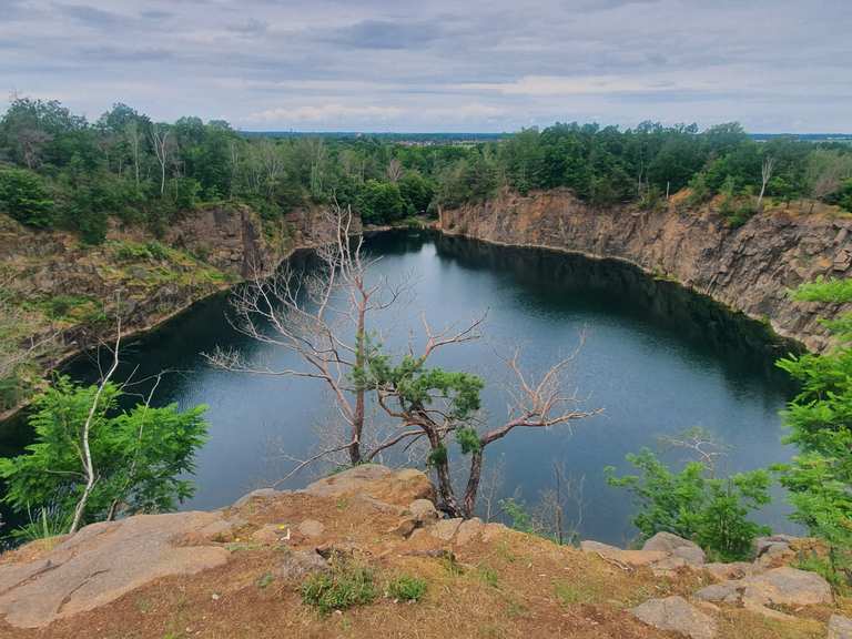 Westbruch Wanderungen und Rundwege komoot