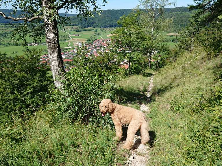 Hausener Felsen Blick nach Hausen im Filstal Runde von Unterböhringen