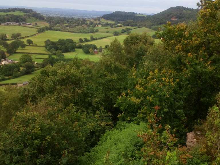 Bickerton Hill Routes for Walking and Hiking Komoot