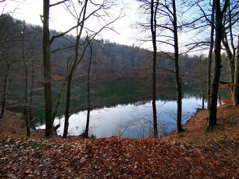 Schönsee Routes for Walking and Hiking | Komoot