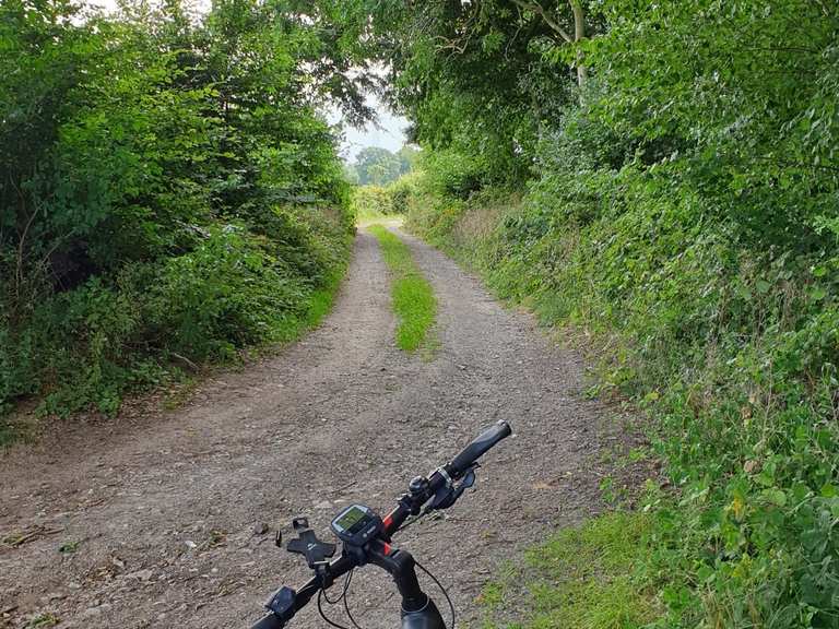 fahrrad 268 83 km h geschwindigkeitsrekord