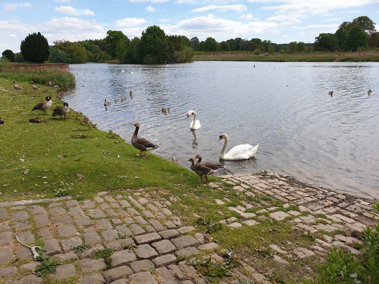 clumber park cycle routes