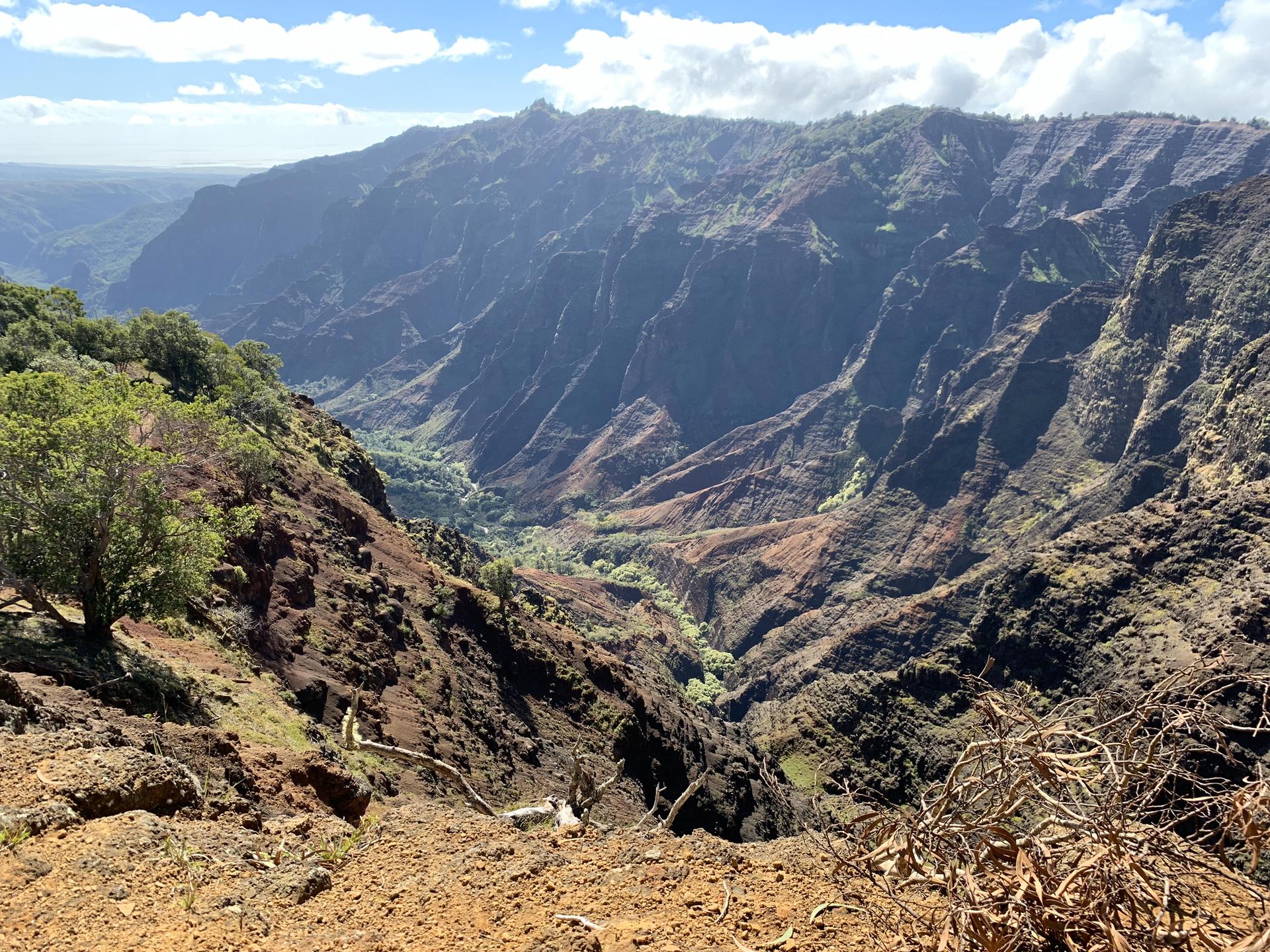 Sunny view of a deep, rugged canyon with green vegetation and distant mountains.